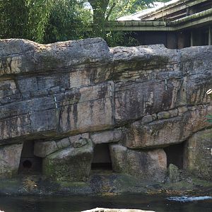 Eurasian otter house, 2024-06-30
