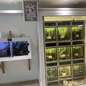 Amphibian exhibits 050625