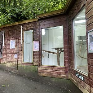 Ringtail enclosure 050625