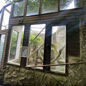 Common squirrel monkey enclosure 050625