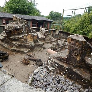 Meerkat enclosure 050625