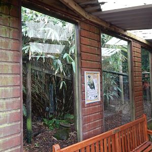 Northern yellow-throated marten enclosure 050625