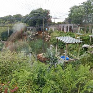 Mixed lake aviary 050625