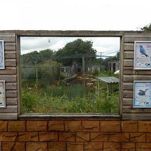 Mixed lake aviary signage 050625