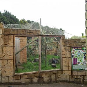 Nepalese red panda enclosure 050625
