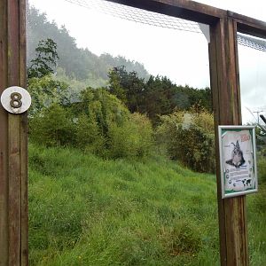 Caracal enclosure 050625