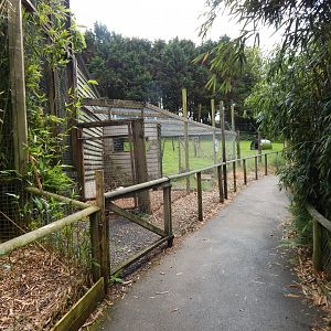 Dusky pademelon/Parma wallaby enclosure 050625