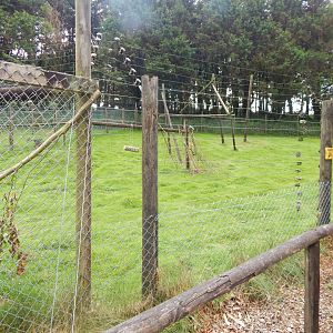 Dusky pademelon/Parma wallaby enclosure 050625