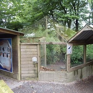 Southern ground hornbill aviary 050625
