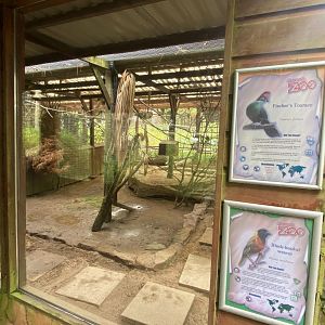 Aviary for Fischer’s turaco/Black-headed weaver 050625