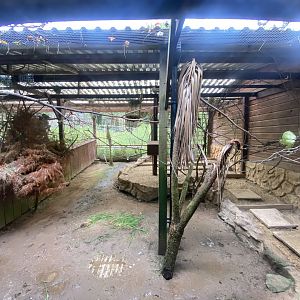 Aviary for Fischer’s turaco/Black-headed weaver 050625