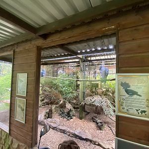 Mixed aviary 050625