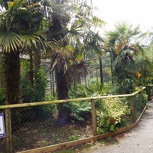 Marmoset & Tamarin House - outdoor enclosures 050625