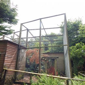 Second Puma enclosure 050625