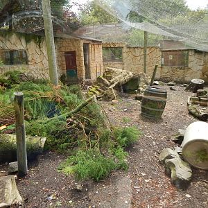 Ratel enclosure 050625