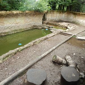 Indochinese smooth-coated otter enclosure 050625