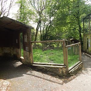 Bush dog enclosure 050625