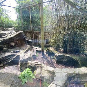 Carpathian lynx enclosure 050625