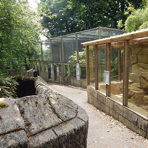 Aviaries on left, Arabian sand cat enclosure on right 050625