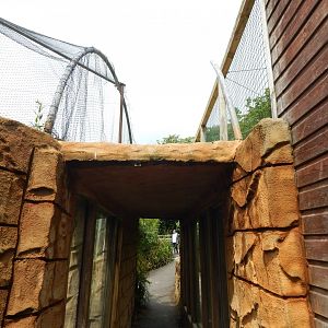 Walkway between Shoebill aviary and Abdim's stork/Puna ibis aviary 050625
