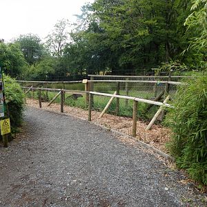 Part of South American tapir enclosure 050625