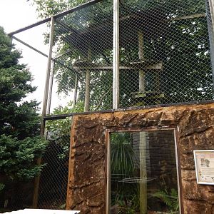 Yucatan margay outdoor enclosure 050625