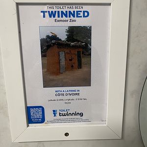 Toilet Twinning sign in Men’s WC 050625