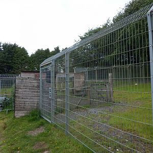 Developments on future Spotted hyena enclosure 050625