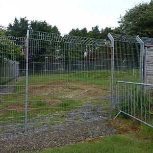 Developments on future Spotted hyena enclosure 050625