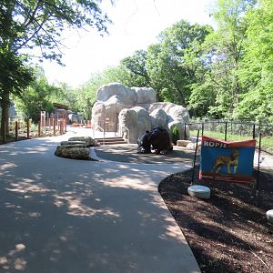 Kopje Area General View