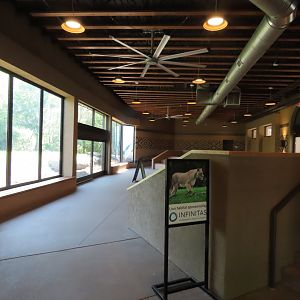 Lion Indoor Viewing Building - Kopje Renovation