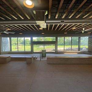 Lion Indoor Viewing Building - Kopje Renovation