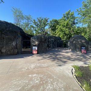 Fennec and Bat-eared Fox Exhibits - Kopje Renovation