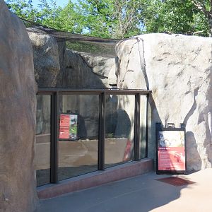 Sand Cat Exhibit - Kopje Renovation