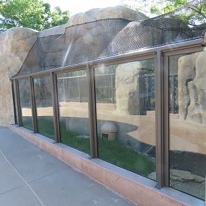 Black-footed Cat Exhibit - Kopje Renovation