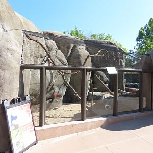 Hyrax and Bird Exhibit - Kopje Renovation