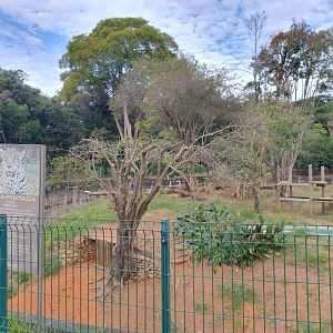 Jaguar exhibit - Belo Horizonte zoo