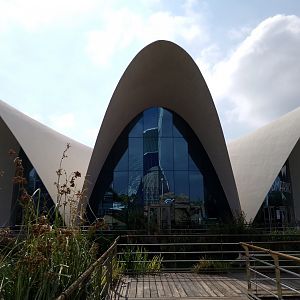 Submarino Restaurant