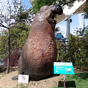 Southern elephant seal statue