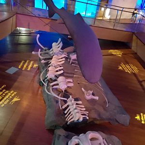 Greenland shark statue