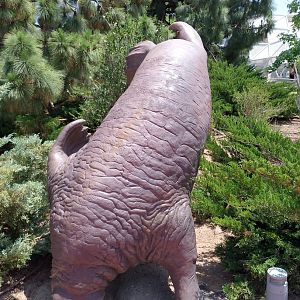 Walrus statue
