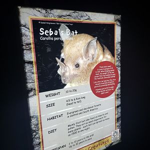 Castle Creatures Signage Example