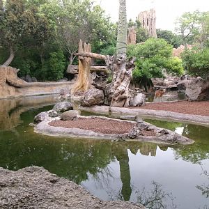 Jungle river exhibit