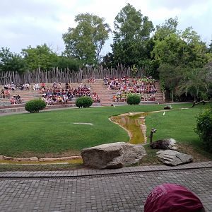 "Circle of Life" Amphitheatre