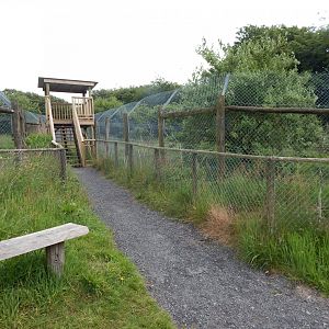 Walkway between European wolverine and African hunting dog enclosures 050625