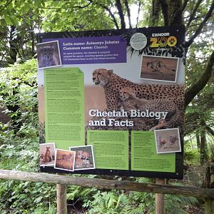 Cheetah signage 050625