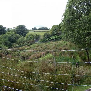 Western sitatunga enclosure 050625