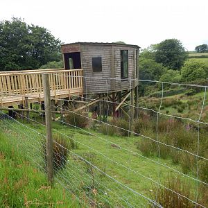 Western sitatunga enclosure 050625