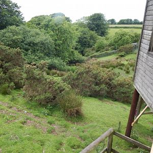 Western sitatunga enclosure 050625