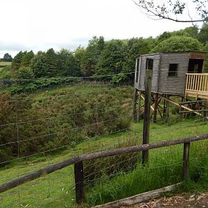 Western sitatunga enclosure 050625
